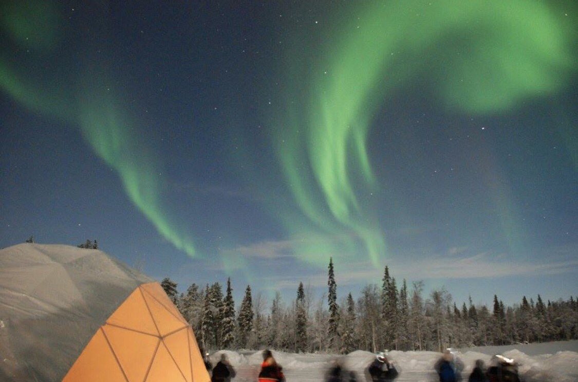 RhiannonJenki's tweet photo. Northern lights 💫
#lapland #LightsOn https://t.co/tJNlk9ExJJ