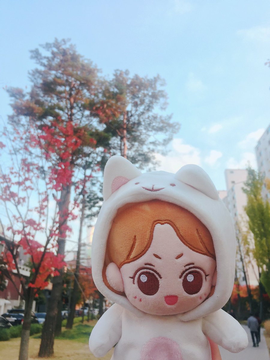 REDVELVETSTUFFS's tweet photo. [INA GO] 💖
Wendy Doll by @vamsarimwan
IDR 350.000
Close: 4 January
Details: https://t.co/arHMctUGvJ https://t.co/FSrZZ20Ab6