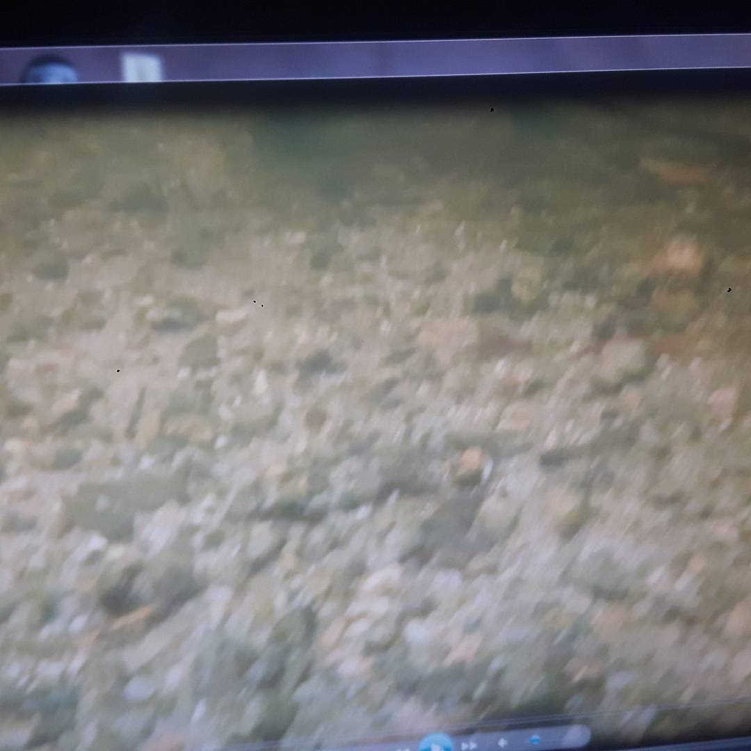 Cvtacklebait's tweet photo. A spot before and after baiting with the deadly nutto 12mm &amp; particle soaked in our salmon oil 
#gamechanger #cvbait #cv #carp #salmonoil #nutto #12mm https://t.co/ODdutrh9W2