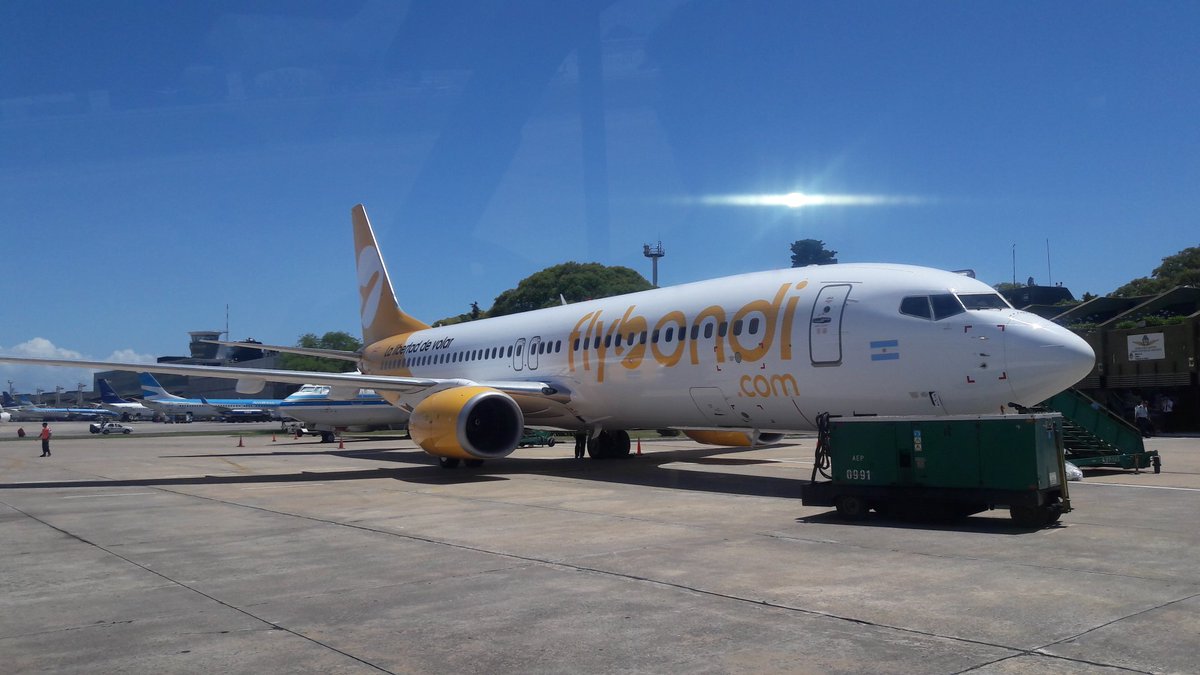 Poyo Rossi ✈ tweet media