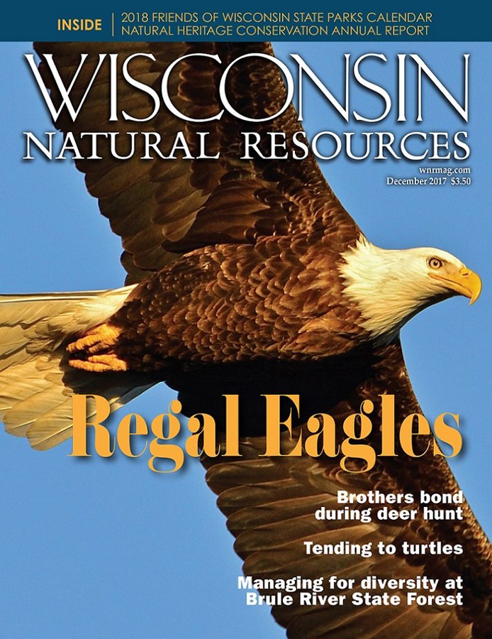 Wisconsin Dnr On Twitter December Wisconsin Natural Resources Features Eagles Turtles And More Https T Co M4yvf3mhwe