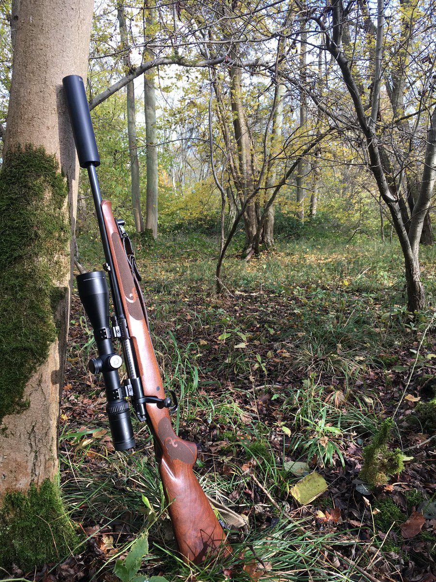 deerstalking_uk's tweet image. Love this time of year, the woods seem to change everyday. #deerhunting #deerstalking