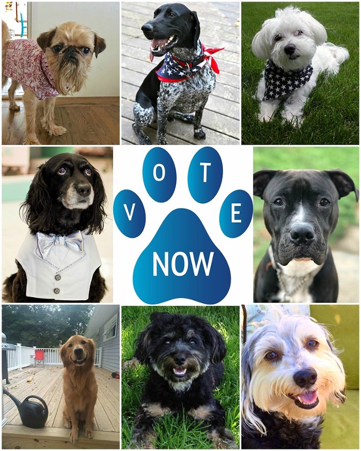 contests.njmonthly.com/contests/2017-… 🐕👑🐾🐶🐩