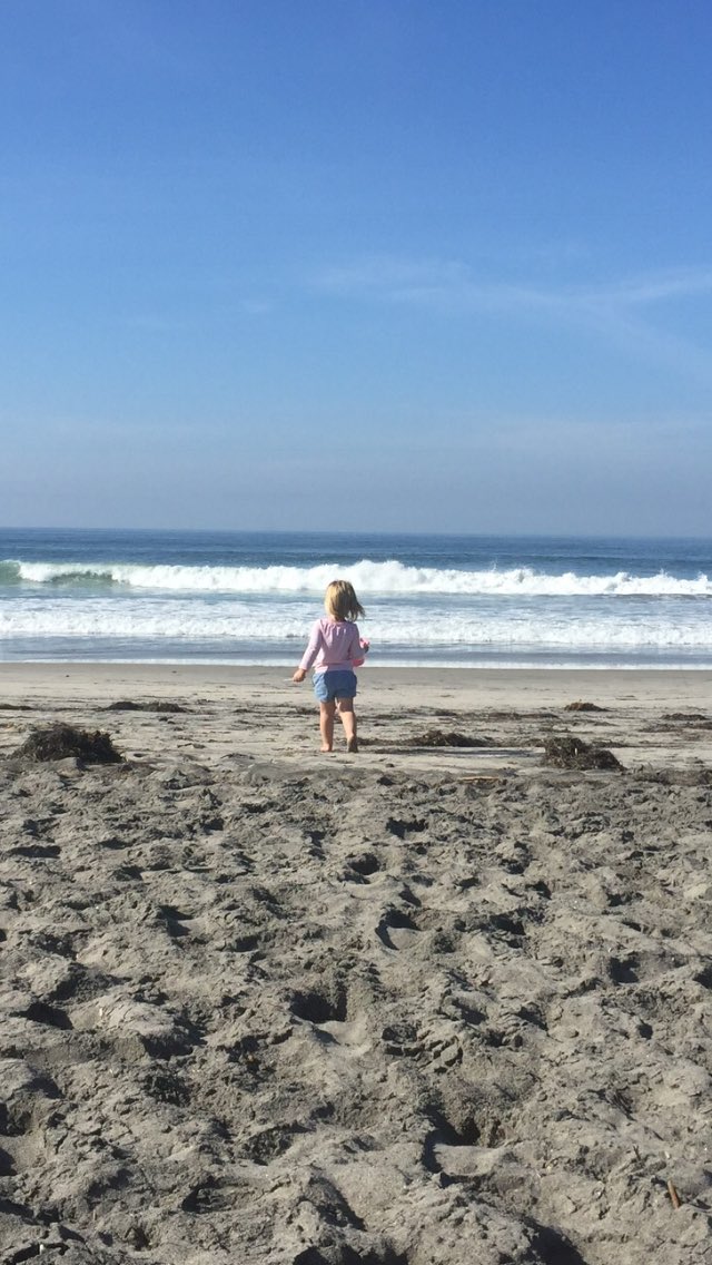 thejoyfulshell's tweet image. December in #Carlsbad... #beach #beachlife #winter #freezinginthe60s