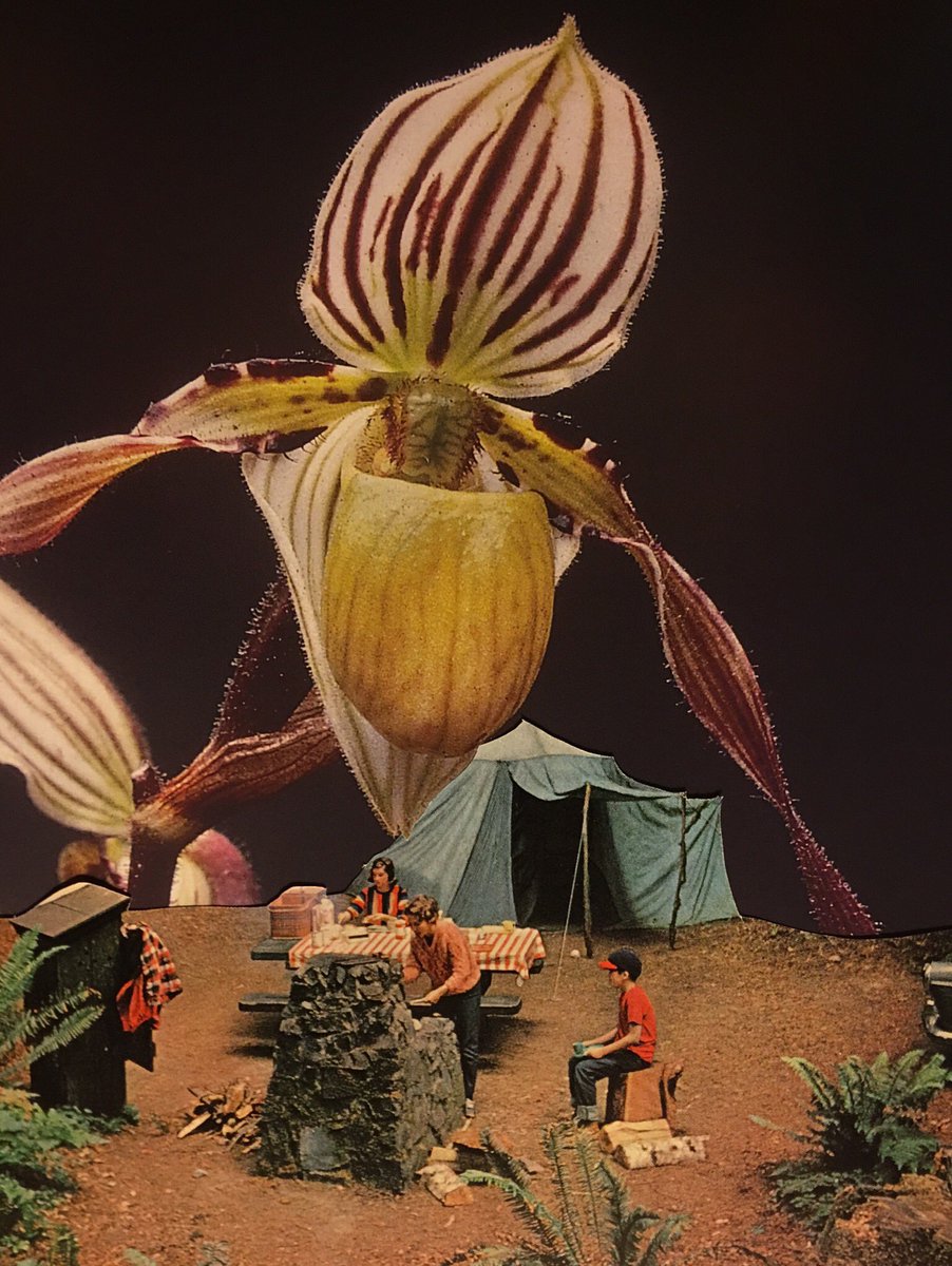 PhibDoesThis's tweet photo. New Handmade Collages 12/5 https://t.co/HjisjMgdbH