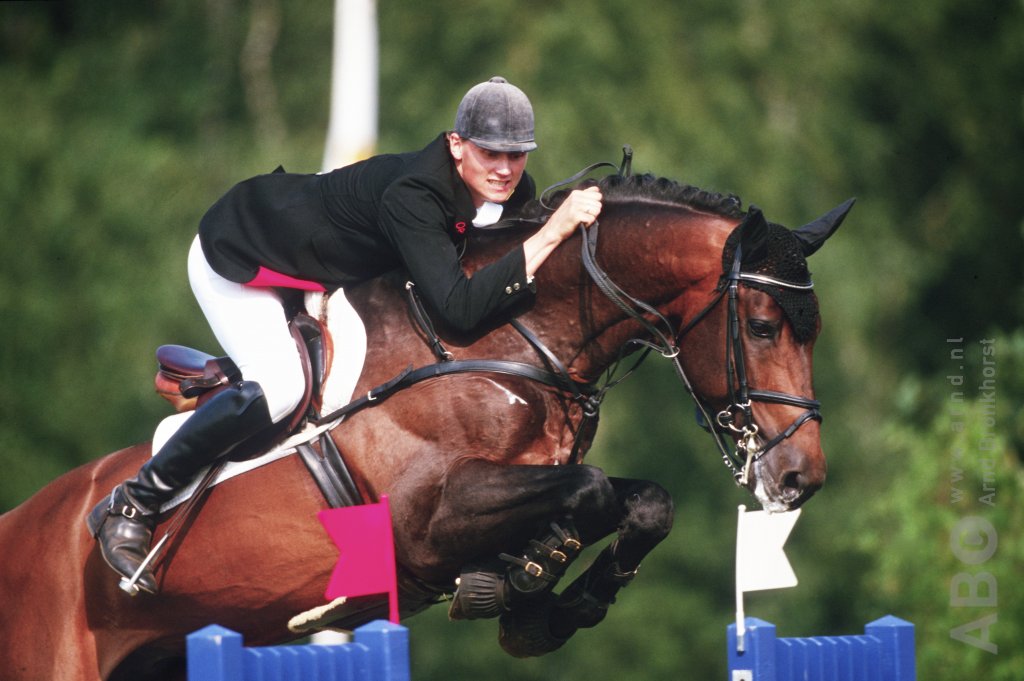 Horses.nl tweet media