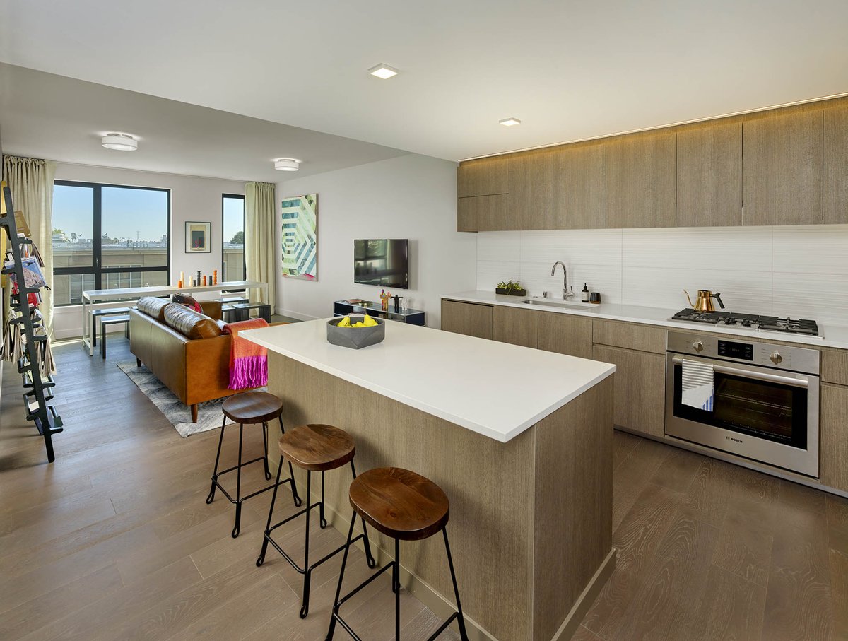 Knox Dogpatch tweet media