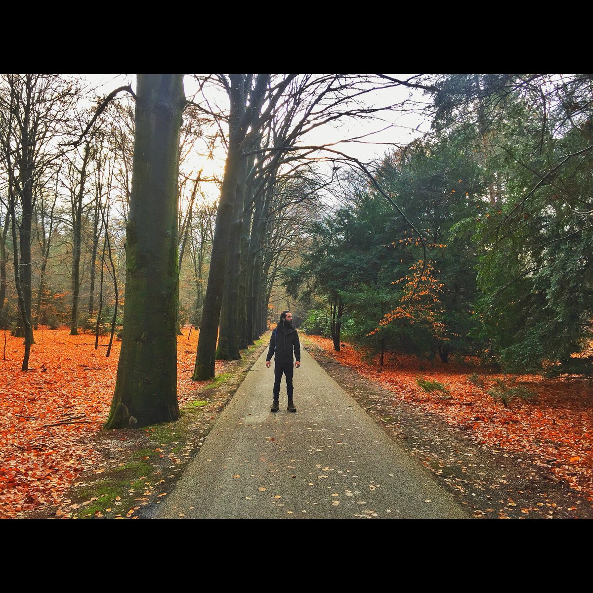 Veluwe’s Autumn
instagram.com/p/BcU_dBcFwgj/