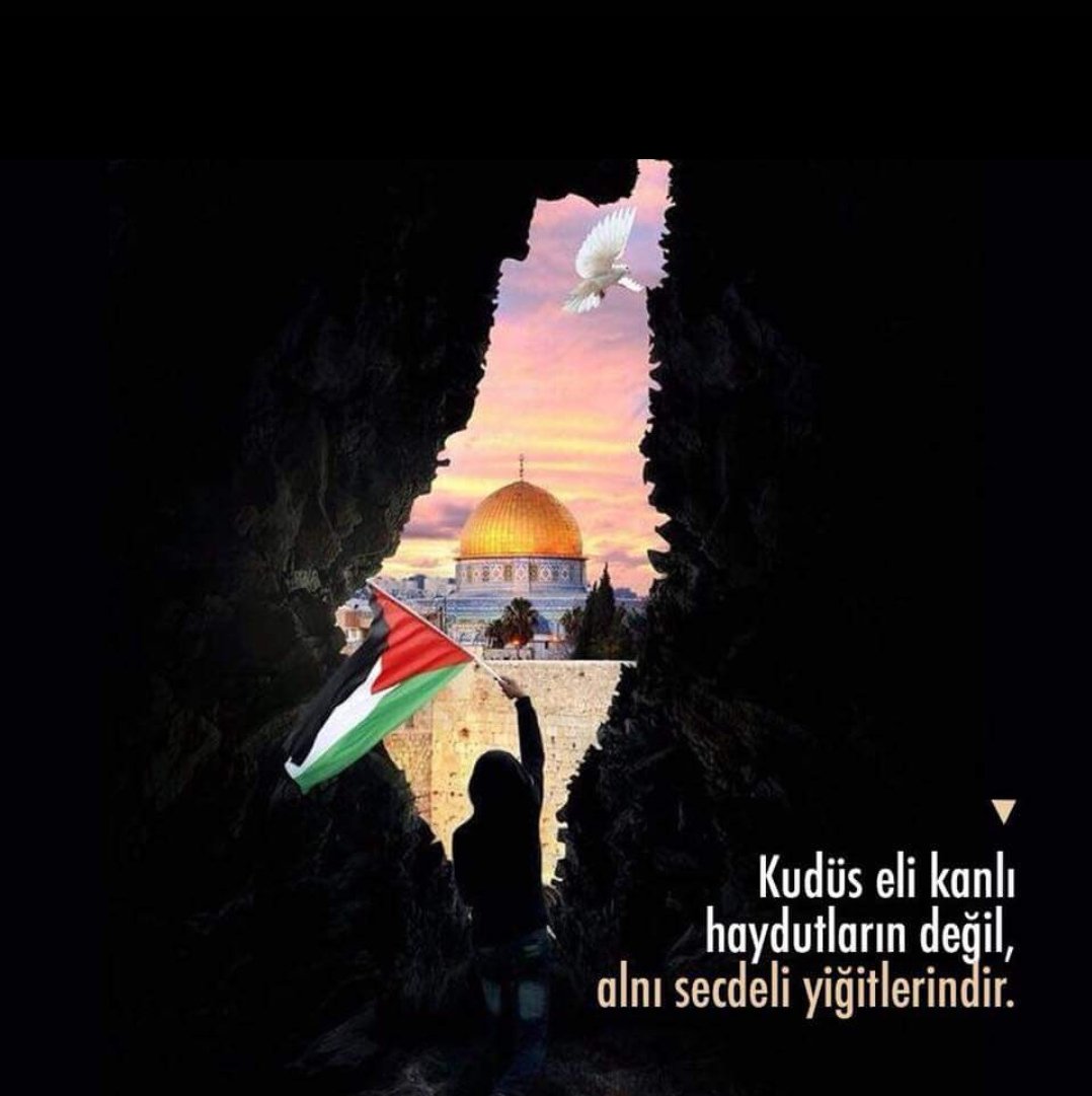 yasindedes's tweet photo. ...KUDÜS;
ELİ KANLI HAYDUTLARIN DEĞİL, 
ALNI SECDELİ YİĞİTLERİNDİR!.. #ÜmmetinKırmızıÇizgisiKudüs
#MüslümanlarınKalbiKudüs
#KumpasSizdenBozmakBizden
#AllahınMuhteşemSanatı Kudus'e https://t.co/SDMYTmirLO