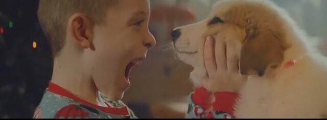 Jean Ⓥ ♻️ 蛇 tweet media