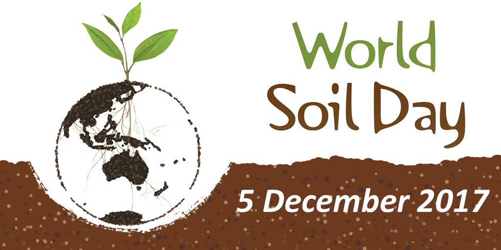 farmfareapp's tweet photo. This #WorldSoilDay let's celebrate where food comes from. We are in #Soilidarity with our producers who invest their time and energy in celebrating soil and life. #celebratesoil 👨‍🌾👩‍🌾 https://t.co/mk1hhma1Gq