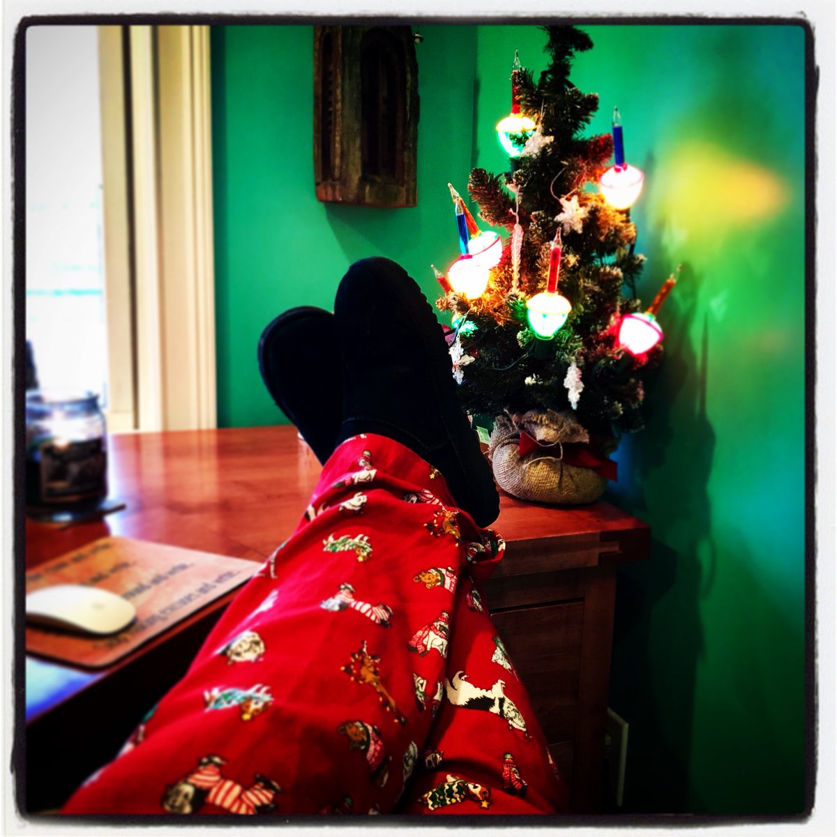 BluegrassBrooks's tweet photo. Editing Forever Devoted today in my Christmas Dog pjs ❤️ 
.
.
.
#workingfromhome  #writerslife #author #authorlife #workclothes #authorconfession #amediting #edits #ForeverDevoted #ForeverBluegrass https://t.co/cLCRI0FJQg