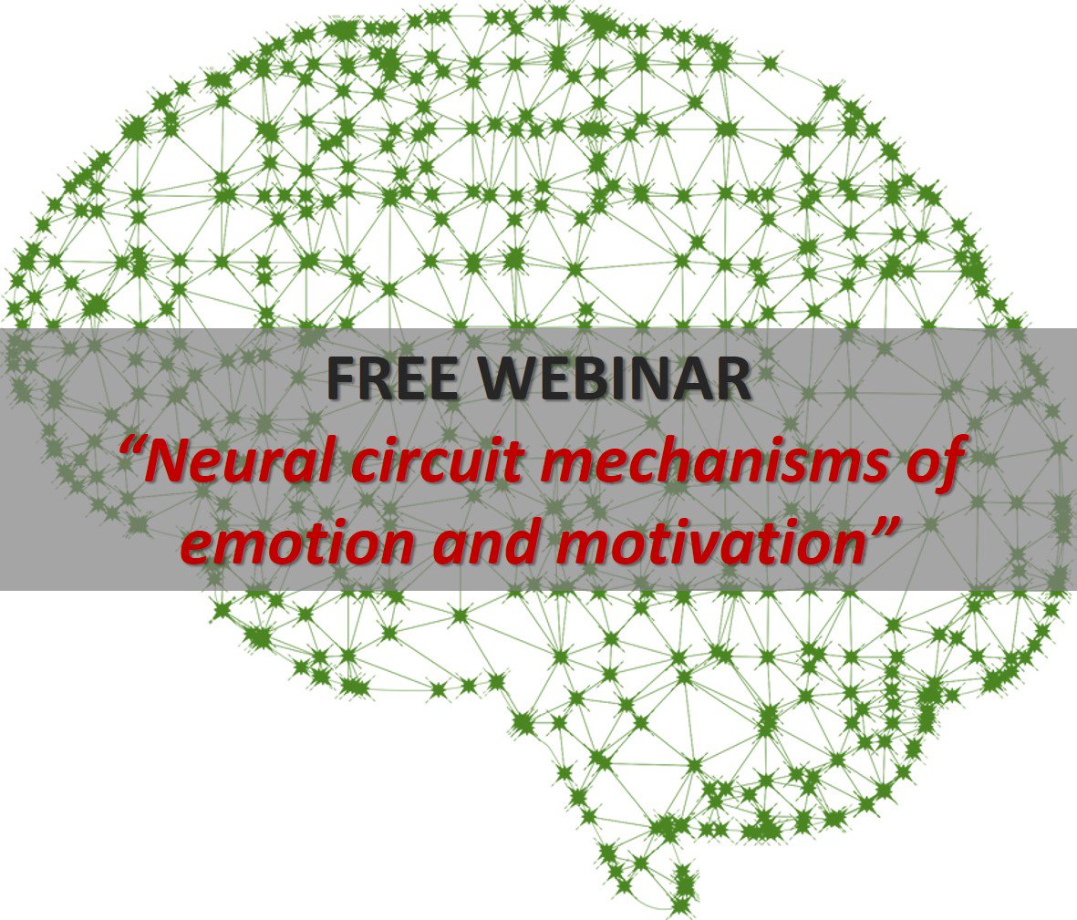 shop The Terror Years: From al Qaeda