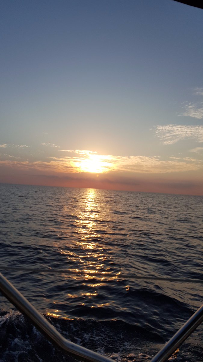 dorit tal (@dorittal) on Twitter photo 