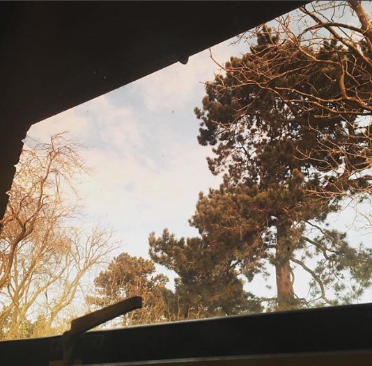 view