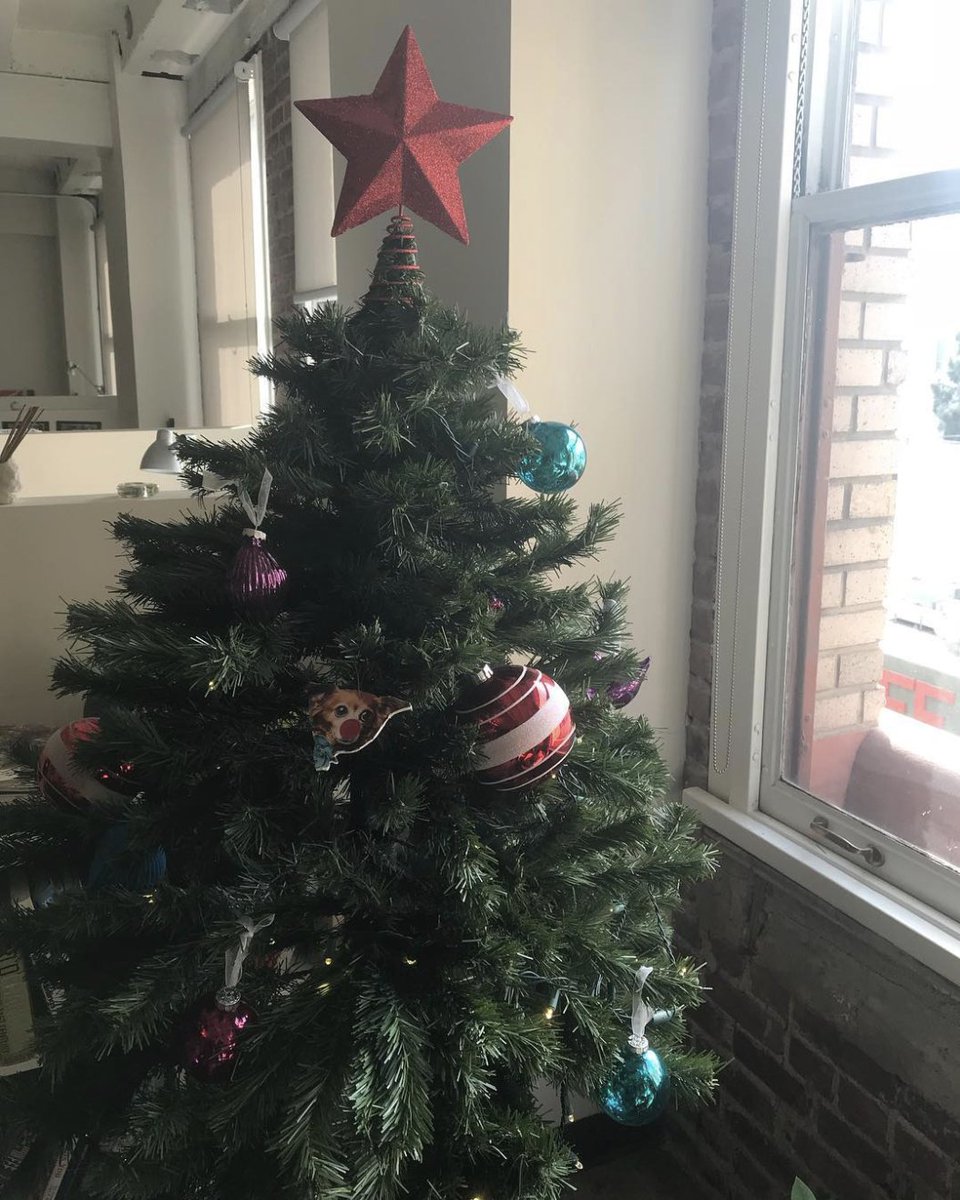 LinespaceStudio's tweet image. We’re beginning to feel the #holidays here at #Linespace! Our #tree is finally up! 🎄 #designstudio #wayfinding #happyholidays