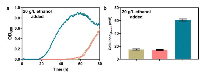Professional SlickEdit