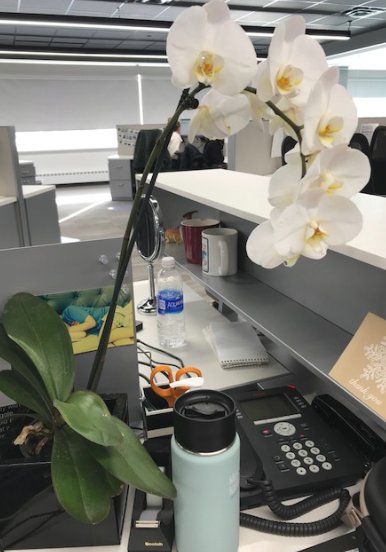 Amy Hockert tweet media