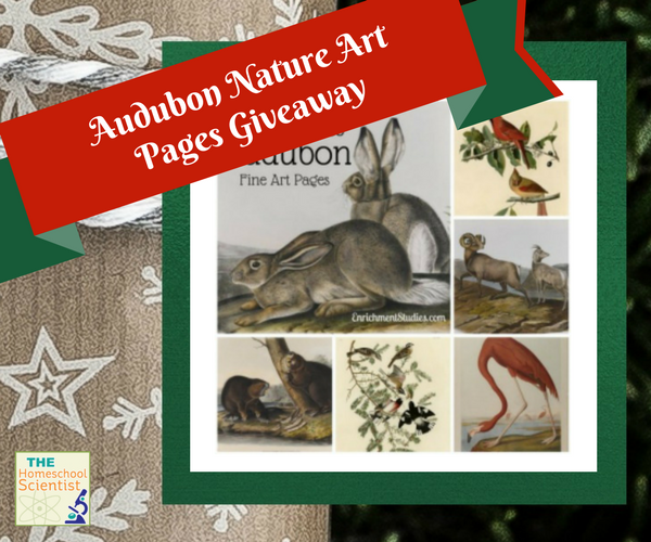 SnarkyHSMoms's tweet photo. Audubon Nature Art Pages Giveaway  https://t.co/L4BohDjHg9 https://t.co/NIA5C7MMCf