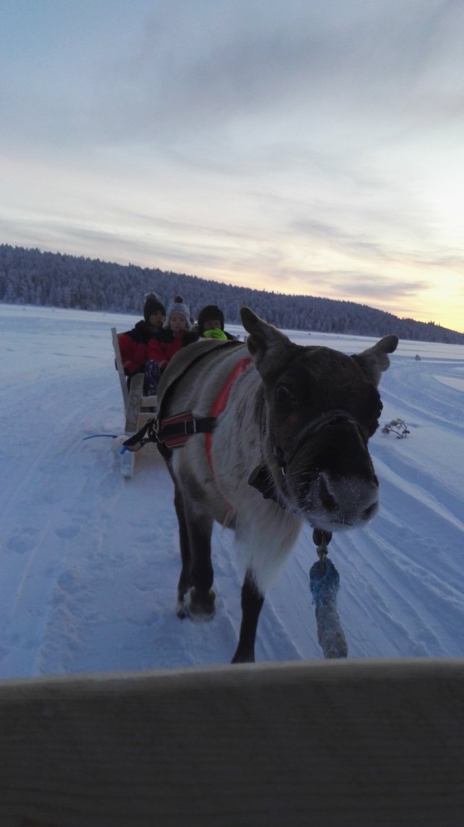 yourdirectionuk's tweet photo. Having a fab time in #Lapland on our #supportedholiday. Everybody is lovin the activities, snow &amp; meetin #Santa of course https://t.co/nOElEKbT4N