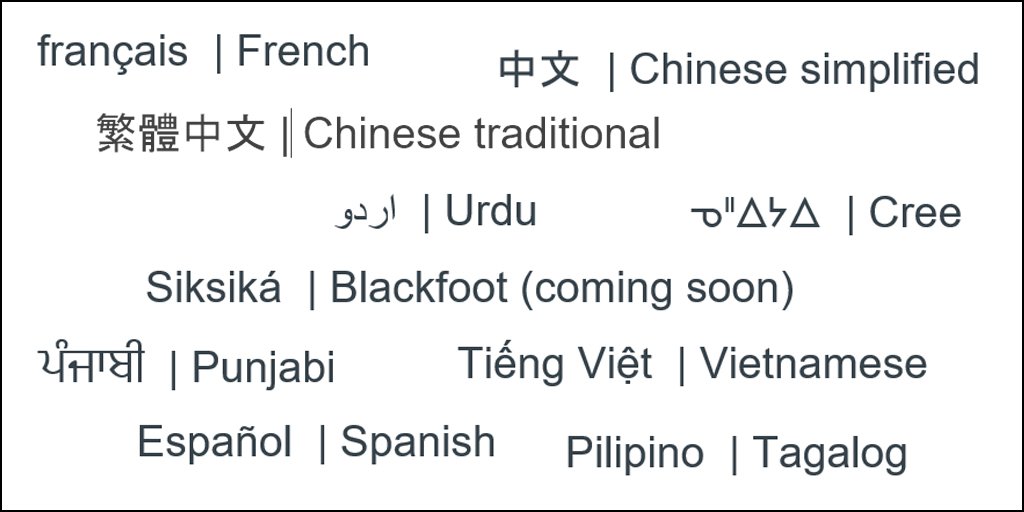 GoAHealth's tweet photo. Opioid information in French, Chinese simplified, Chinese Traditional, Cree, Punjabi. https://t.co/033ebgDktK https://t.co/AEor5iZmVh