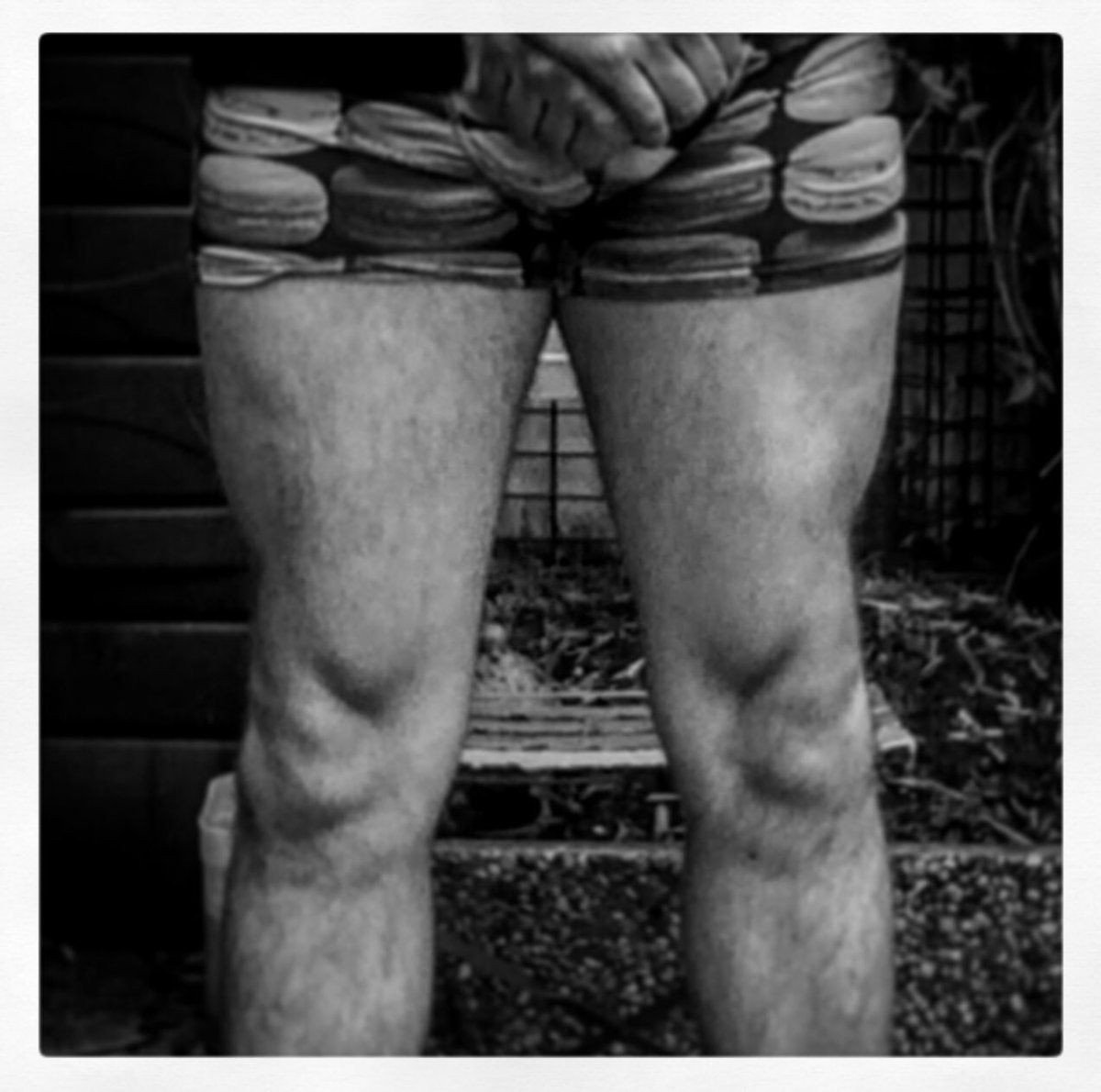 NicolasJCElite's tweet photo. Monday: #legs #chest #biceps
Tuesday: #shoulders #back #triceps https://t.co/Yr6LFvN4eL