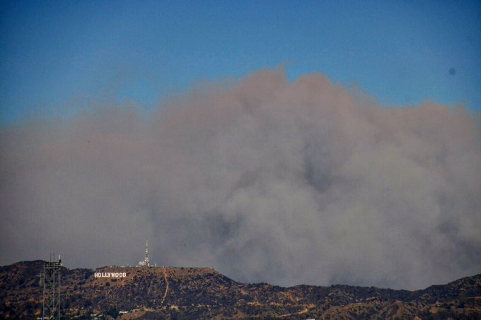 View image on Twitter