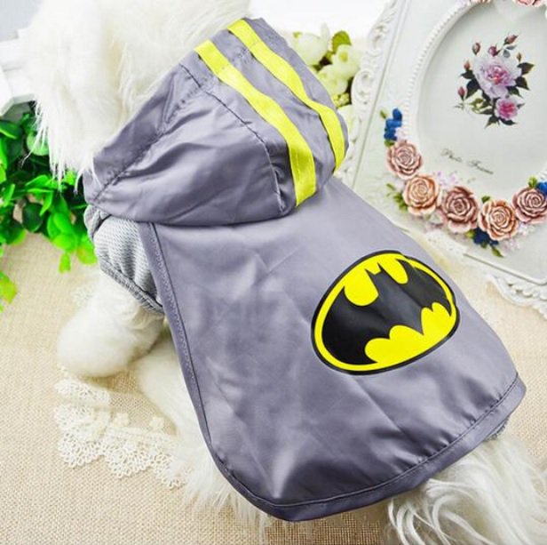 DoggyBoutique10's tweet photo. More SUPER COOL & FUNNY outfits for male dogs...
SHOP HERE: https://t.co/w4qXV6lHlX
#Dogs #MaleDogs #Fashion #Style #Comedy https://t.co/N0qJNvvVnG