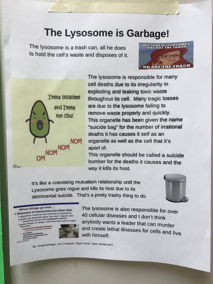 MichellTheMito's tweet photo. Just some facts about the dishonesty and one-sidedness of our competing organelles.  Know all the facts before you hit the polls!! @HApbio #Organellewars #powerhouseofthecell https://t.co/m0Ts4S5gLO