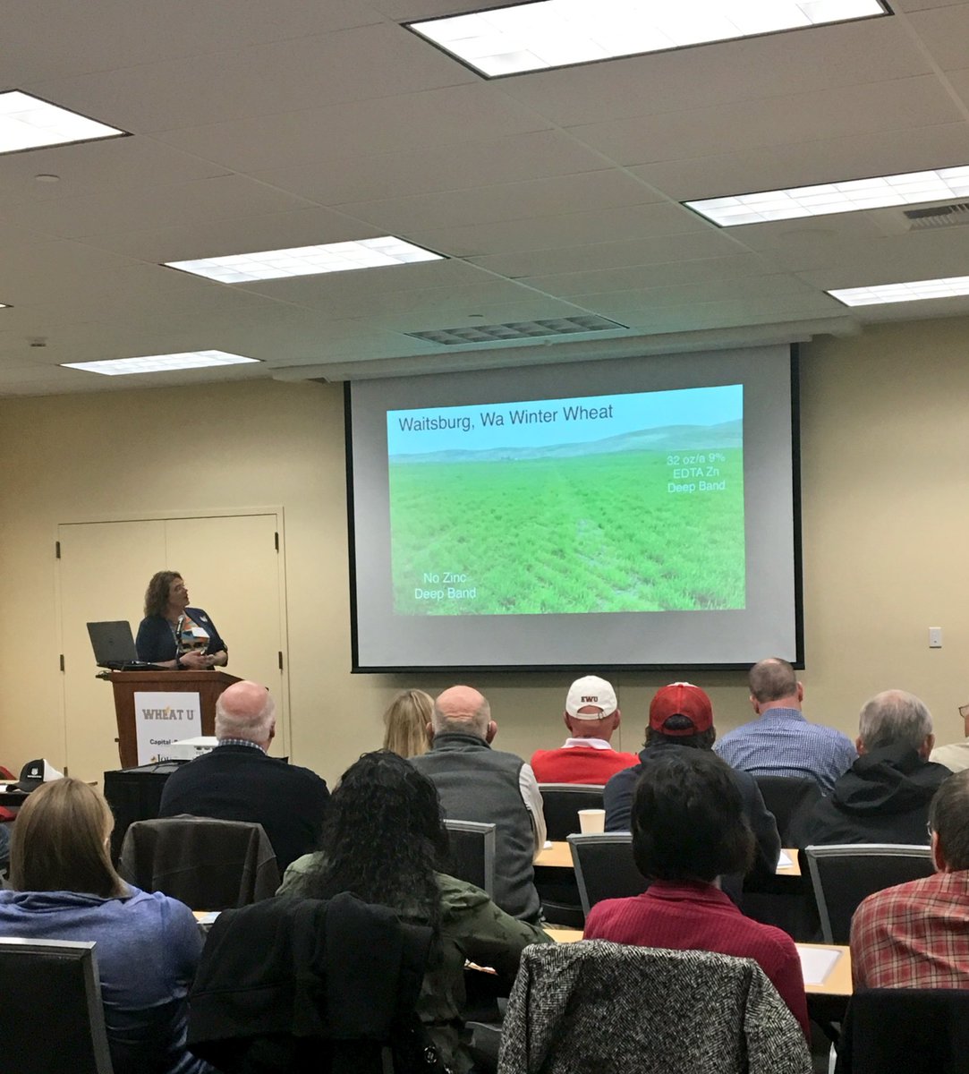 SamKimmell's tweet photo. @TMC_Cat speaking at the #WheatU in Spokane. Great Event and thanks to @BASF @HighPlainsJrnl @capitalpress @themcgregorco https://t.co/Zhq7V5ZhJs