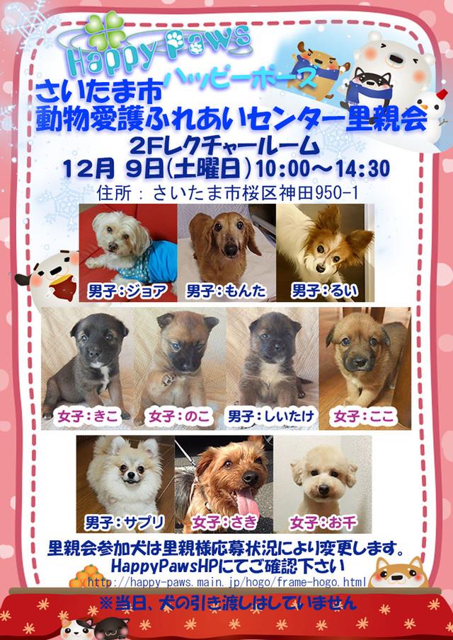さいたま市広報課 動物愛護団体 Happy Paws ハッピーポーズ による犬の譲渡会 12月9日 土 の10時 14時30分に 動物愛護ふれあいセンター 桜区神田 で 犬 の譲渡会を開催します 詳しくは リンク先へ T Co Ib23rf7hmm さいたま市