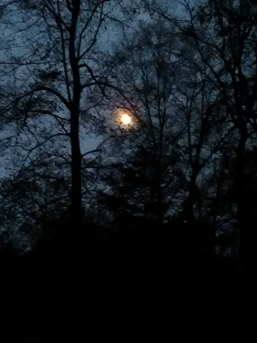 WHMcIntyre's tweet image. Dream big
Dream freely and openly.
For all 
That we hold so dear to us, 
Was once
Only but a dream.