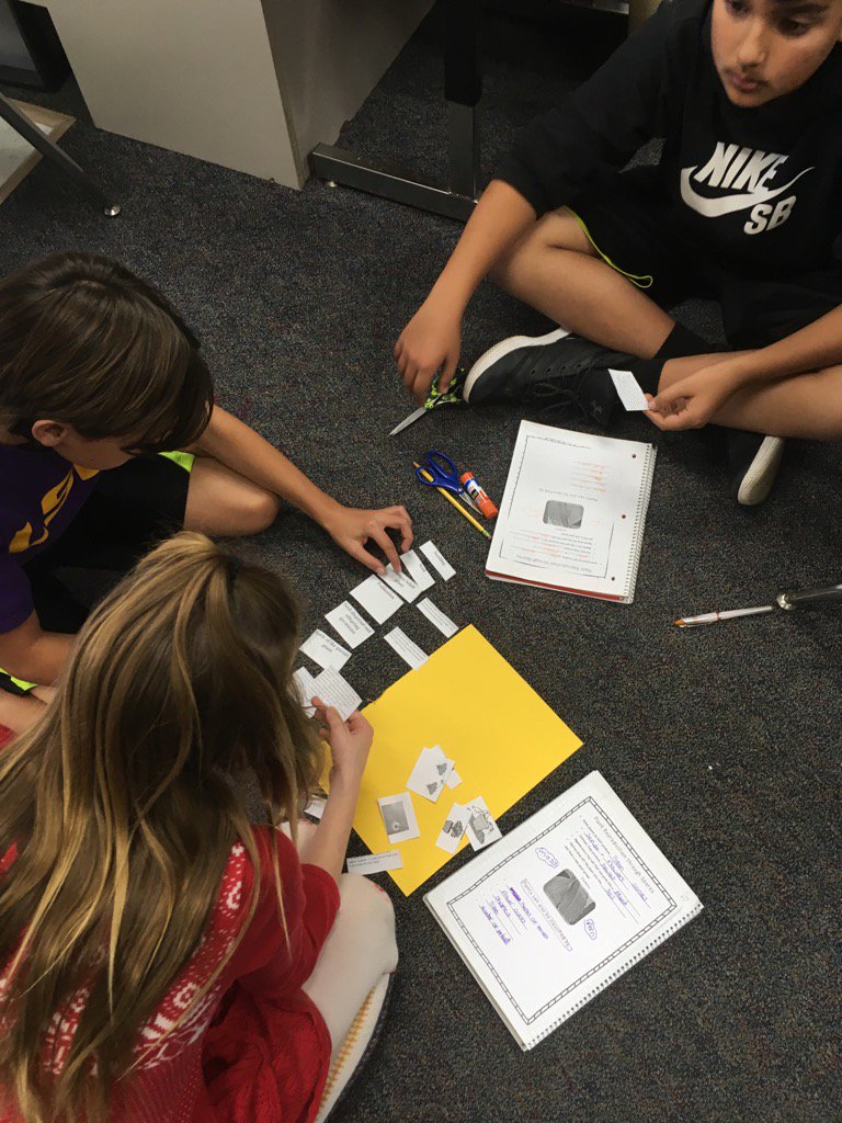 Life cycle of a flowering plant-getting ready for garden!!! #ashleyfallsschool