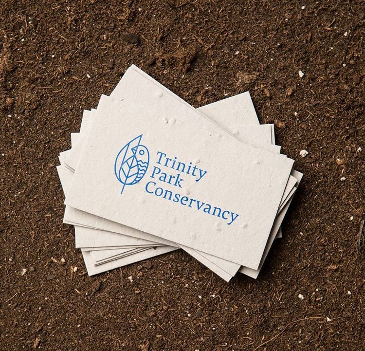 trinityparkc's tweet photo. Thank you @matchboxtweet for our eco-friendly business cards! 

#seedpaper #Trinityparkconservancy #dallas https://t.co/8Nmwactpac