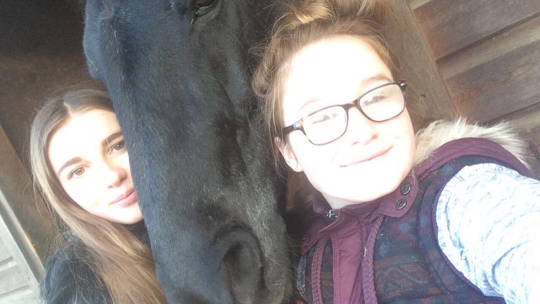 BarronHorse's tweet photo. It's my birthday whooop!!🎉💘 #birthday #ash #horse #15 # horses # stable #stables #horserug #stablerug #horseride #horserider #like4like #likeforlike https://t.co/p42JNiV9jM