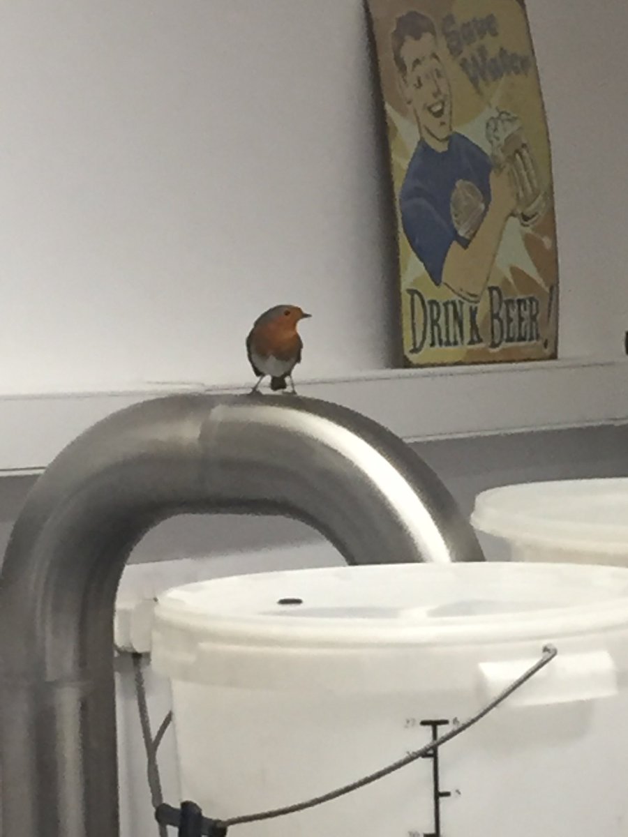 Had a visitor in the brewery today. Anyone would think it’s Christmas.