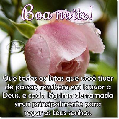 Eu Te agradeço, meu Deus, por mais um dia e Te peço que concedas uma boa noite a todos nossos amigos &amp; amigas!🙏🌹