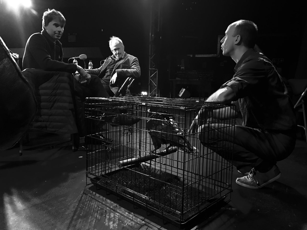 mic_off's tweet photo. Caption competition @robinince @ProfBrianCox #infinitemonkeycage https://t.co/2q5OZiwOGx