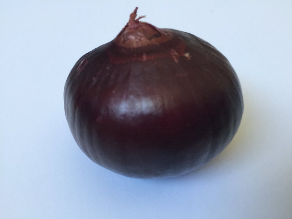 HeirloomJim's tweet photo. 1834 “Oniontown” Wethersfield, Connecticut. Wethersfield Heirloom Red Onion. https://t.co/5tnFIWnDON