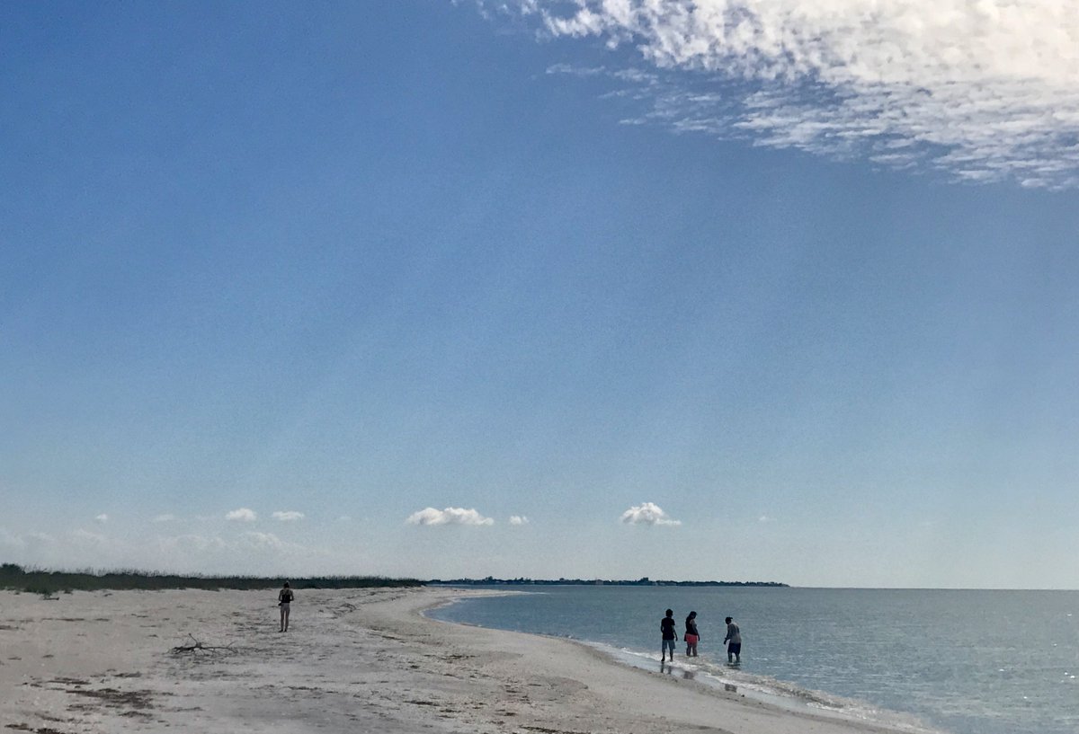 MatlachaBoats's tweet photo. Cayo Costa. Best Beach in Florida. Shelling is unequivocally Best in SW Florida as low impact, boat accessible only makes for fewer visitors. https://t.co/IOGIPgfPP5