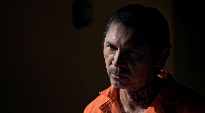 .<a href="/LouDPhillips/">Lou Diamond Phillips</a> fans be sure you read reporter <a href="/LilMissAnthropy/">Kelly Kearney🏳️‍🌈🪷</a>'s interview with the star of new film #AvengeTheCrows at starrymag.com/lou-diamond-ph…!