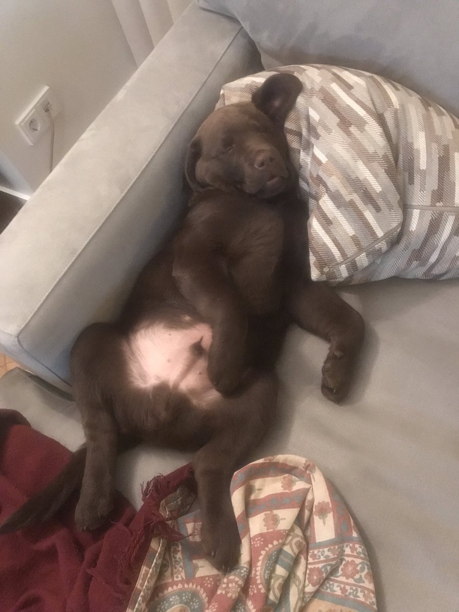 Sarhoş bir şekilde eve gelip yattığım yeri bilmediğimde ben