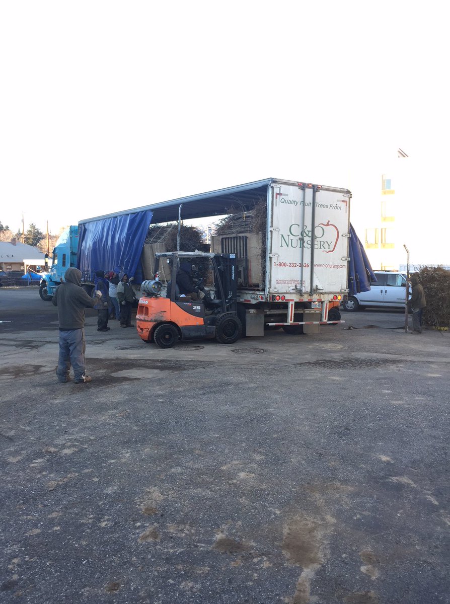 Another load of high quality C &amp; O Nursery trees being delivered to our Wenatchee warehouse where they will be stored until Spring 2018 planting season for our growers.