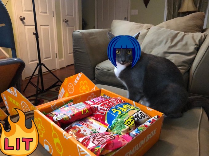 Super excited that our @TokyoTreat December Box is finally here!! #Goodies #tokyotreat #yummy https://t<a class="tags" target="_blank" title="On Twitter" href="/?out=eyJ0eXAiOiJKV1QiLCJhbGciOiJIUzUxMiJ9.eyJpYXQiOjE3MjQwNDc3NjYsImlzcyI6InR3cG9ybnN0YXJzLmNvbSIsIm5iZiI6MTcyNDA0Nzc2NiwiZXhwIjoxNzU1NTgzNzY2LCJyZWRpcmVjdF91cmwiOiJodHRwczovL3R3aXR0ZXIuY29tL1Rva3lvVHJlYXQifQ.I4qBbhDEY9EQtwVsoNXNTyNfBtpNV6H6SxR7v0HWjY94dEyRN7E_5MzhWRmOlLn4LZx7PJAYpvAq_GAwDpALnQ">@TokyoTreat</a><a href="/tag/yummy"class="tags"><span>#yummy</span></a><a href="/tag/goodies"class="tags"><span>#goodies</span></a><a href="/tag/tokyotreat"class="tags"><span>#tokyotreat</span></a>