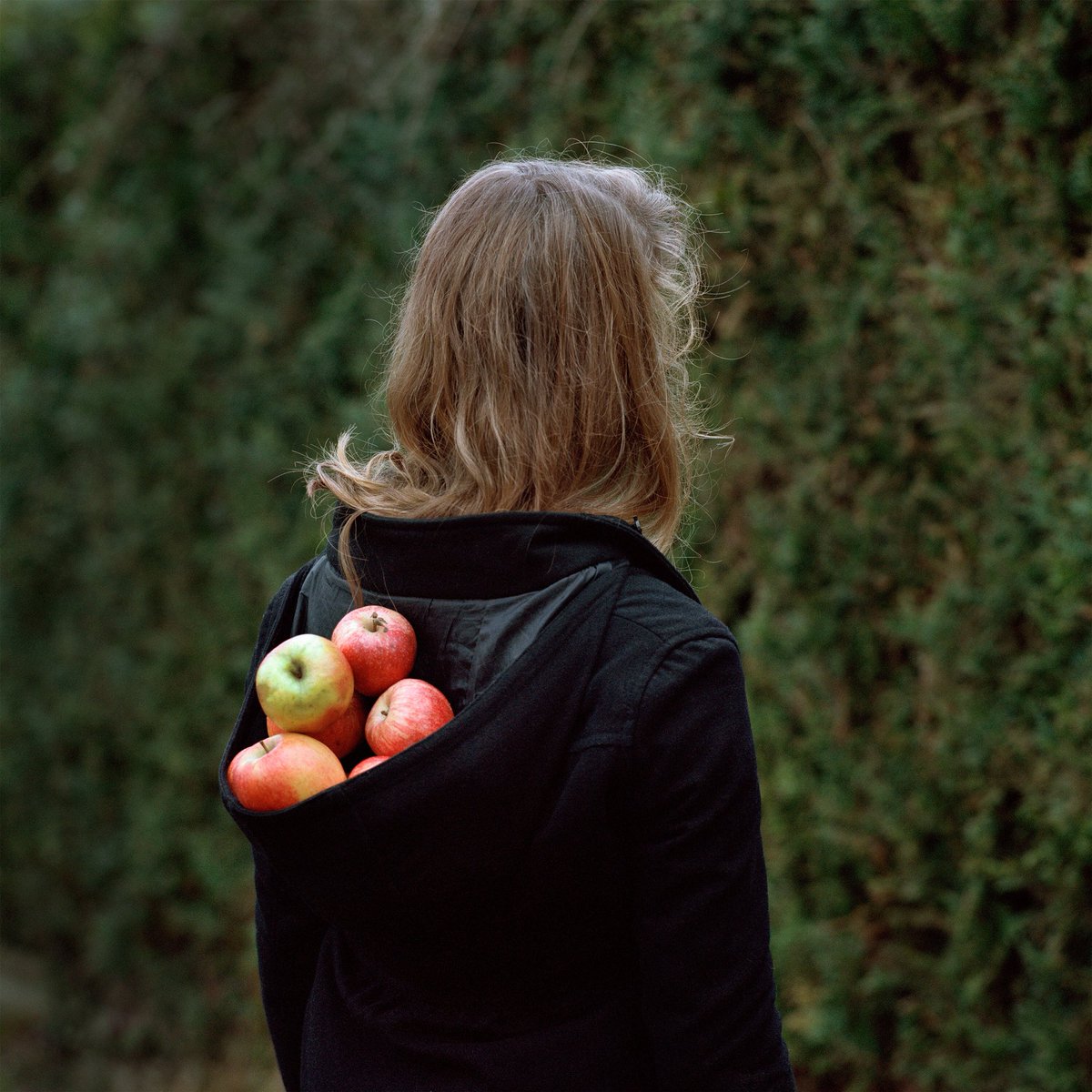 Take a trip into the woods. Work by Alexandra Serrano. magazine.thebosco.com/alexandra-serr… #thebosco #theboscomagazine