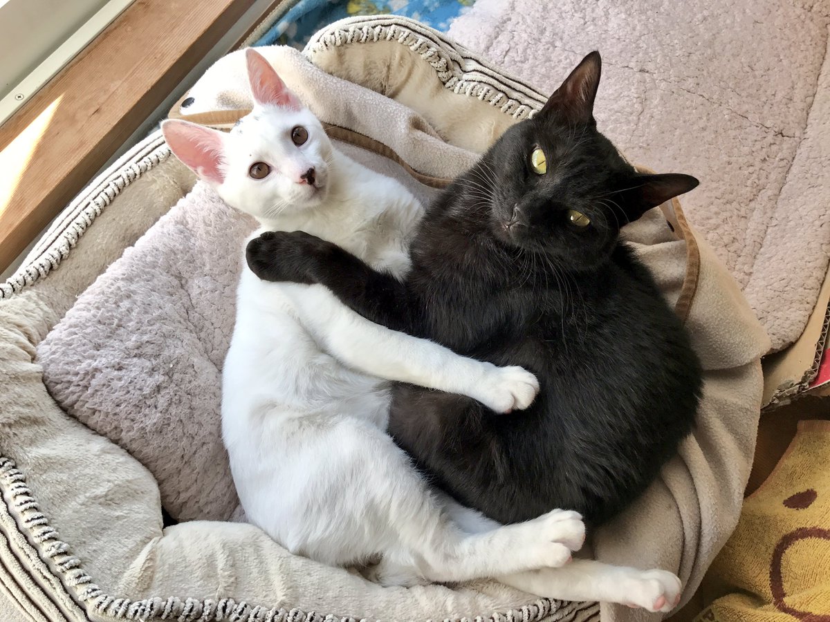 抱き合う 抱き合う