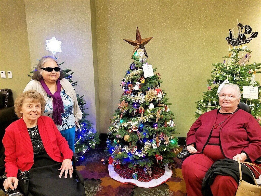 BaysideALF's tweet photo. @Bayside_Terrace Colleen, Vira, and Carol enjoy the Rotary Festival of Trees at the Mill Casino Hotel...but their favorite was obviously the Bayside Terrace entry 'Olde Tyme Christmas' 🙂Great work on the homemade decorations ladies, and Merry Christmas! https://t.co/Bk2zzLAGHI