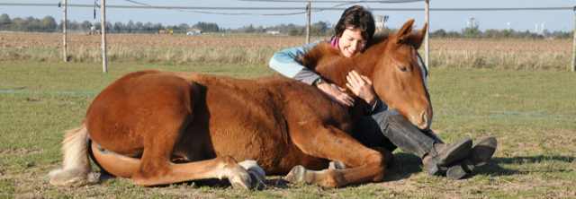 FalconSnakeM9's tweet photo. @Polecat324 @BayAreaBuggs Horses ARE bigger version of dogs LMAO https://t.co/7yav6l7e21