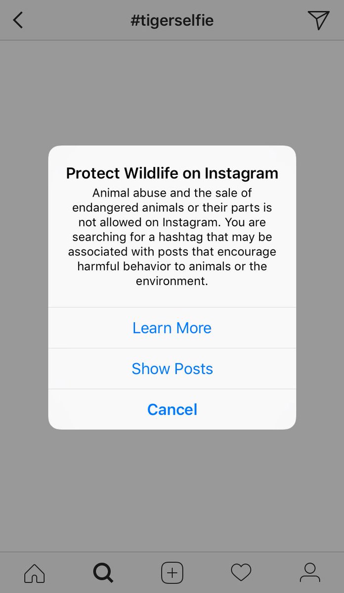equinoxvegan's tweet photo. Huge news & well done to Instagram for adding these measures! People now get alerts when they are posting wildlife selfies to remind them that it is a form of animal abuse. Don’t fuel the trade #WildlifeSelfieCode well done @MoveTheWorld you did this 👏👏 https://t.co/btI2PDRhrw
