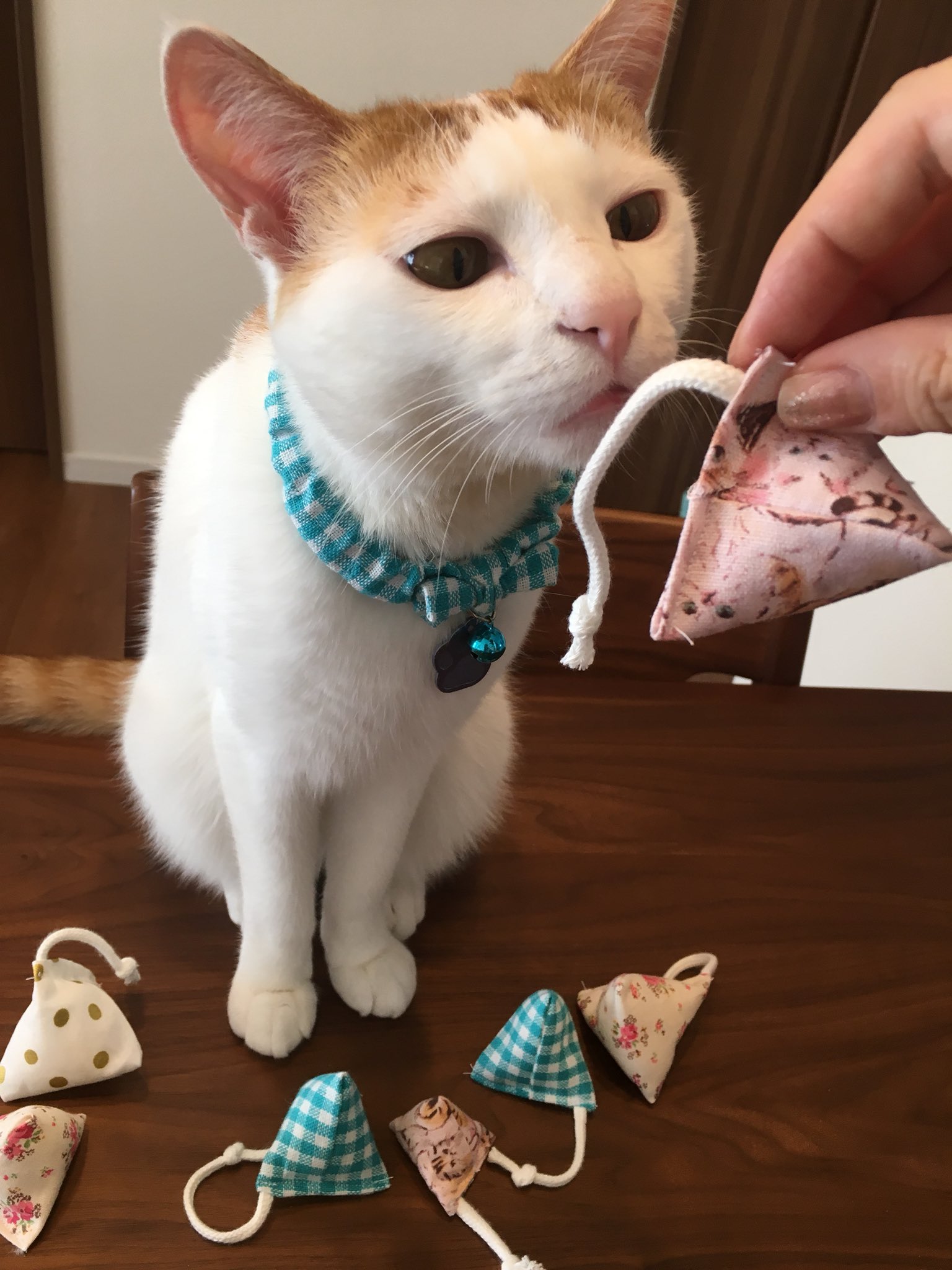 むぎ 気になってた猫まきびし 作り方を丁寧に紹介してある 記事を見つけて作成してみました なんかパーティみたい 笑 T Co 8asahpo6hu Twitter